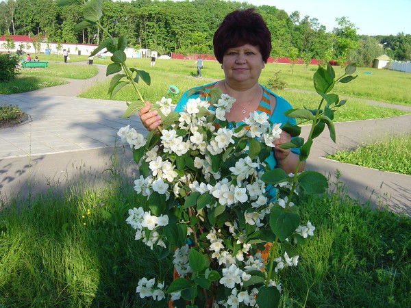 Людмила Левина