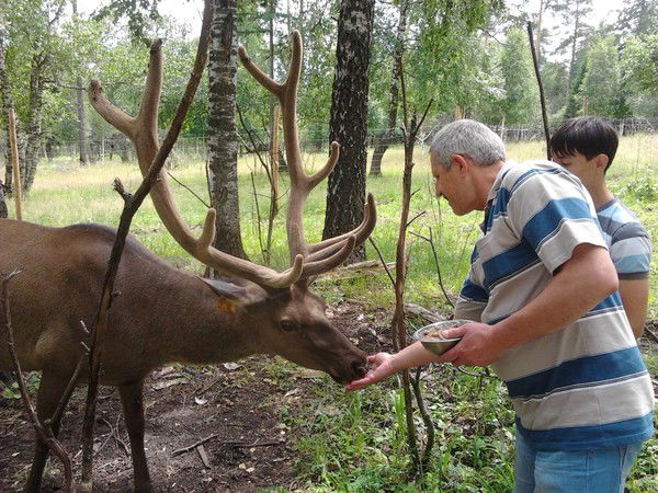 Николай Осипов