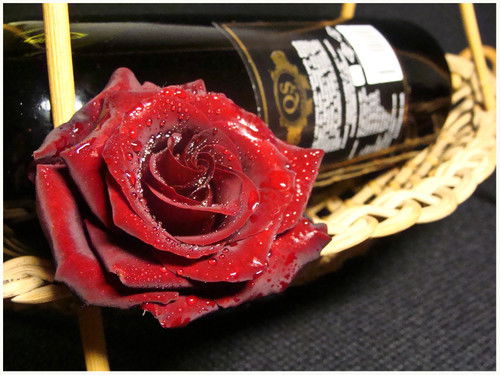 Светлана Болдакова