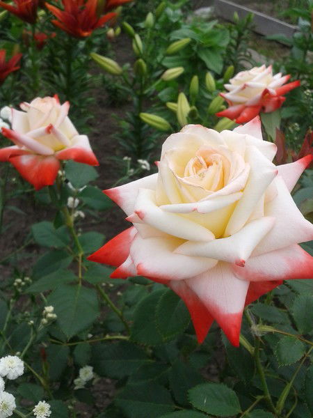 Наталья Жуланова