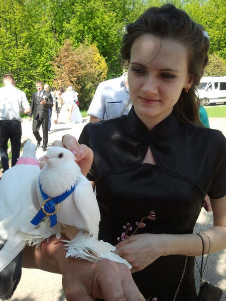 Елена Шабанова