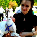 Елена Шабанова