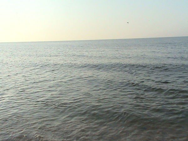 Оксана Панщанная