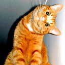 Ivan Cojocaru