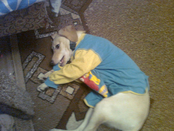 Ирина Константинова