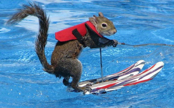 Мейрам Нургазин