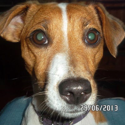 Влад Смирнов