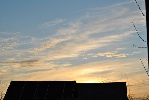 Римма Шарипова