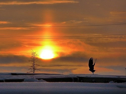 Денис Рудченко