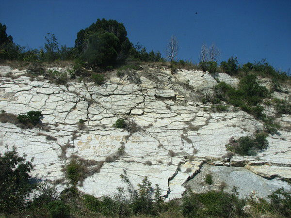 Лариса Мундштукова