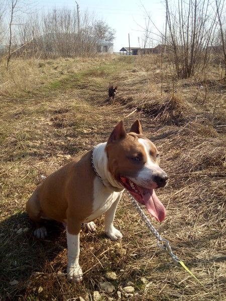 Евгений Енисеев.