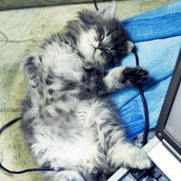 Елена Сапожникова