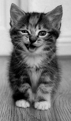 Тlеуhабыlов Didar