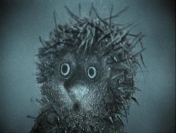 Алексей Гульвис