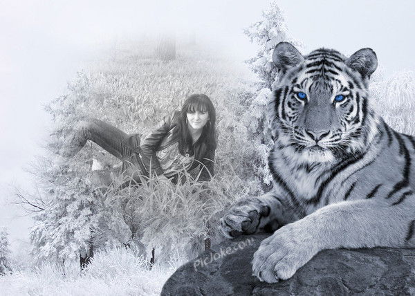 Ирина Чудновец