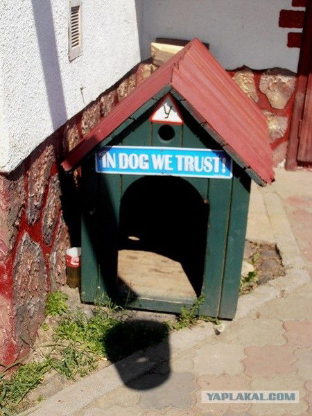 Максим Емангулов