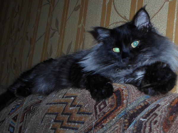 Евгений Крюков