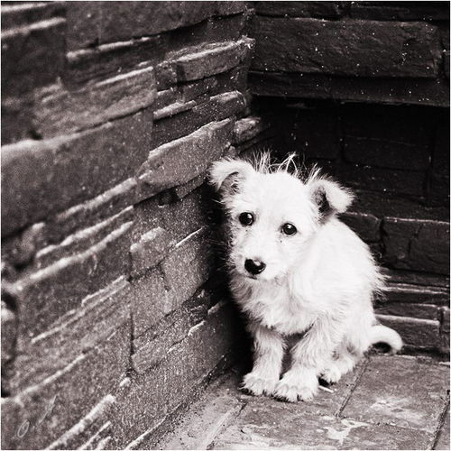 Эрик Розинский