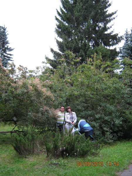 Люция Утепова