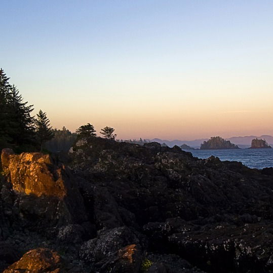 Елена Немцова