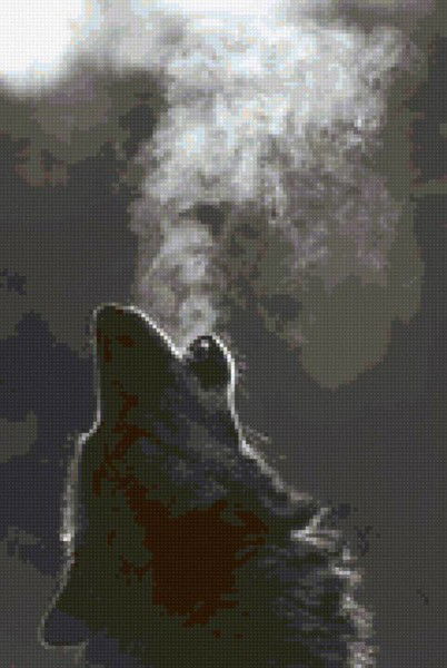 !!!макс!!! !!!!!макс!!!!!