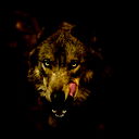Unknown ¤˜