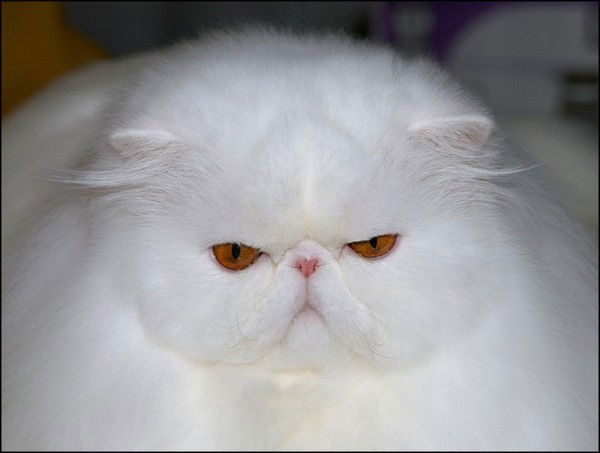 Бильдина Наталья