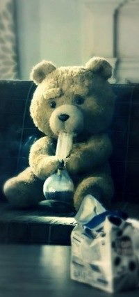 Талгат Камалиденов