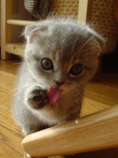 Александр Юдин