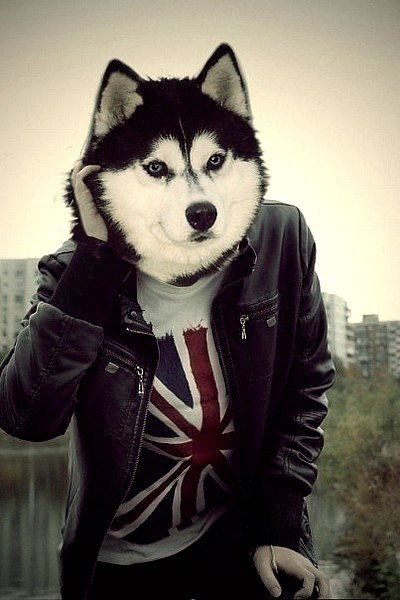 Максим Андроников