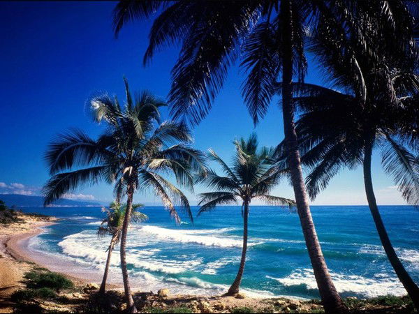 Жанна Морозова