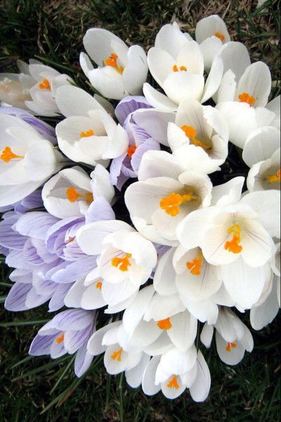 Инна Байрамали