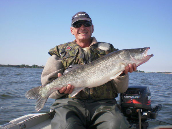 Сергей Хижняк