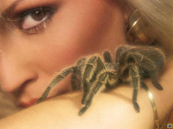 Ирина Иванова