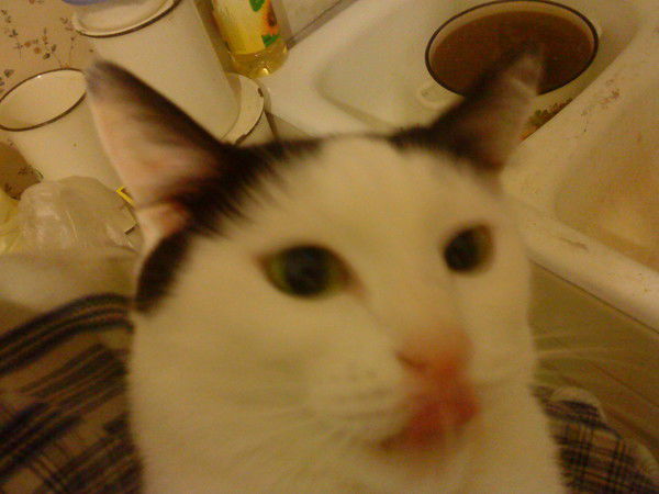 Денис Смирнов