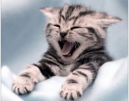 Татьяна Смирнова