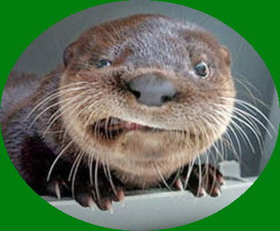 Иван Лопарев