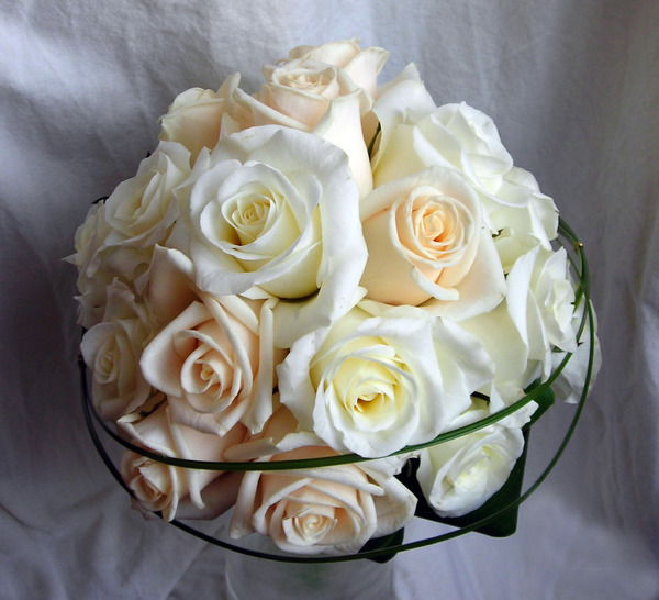 Актолкын Гизатова