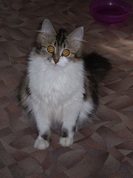 Саша Евдокимова