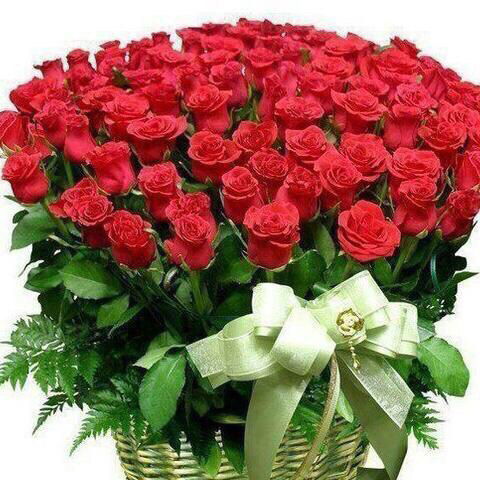 Айкун Тышканбаева