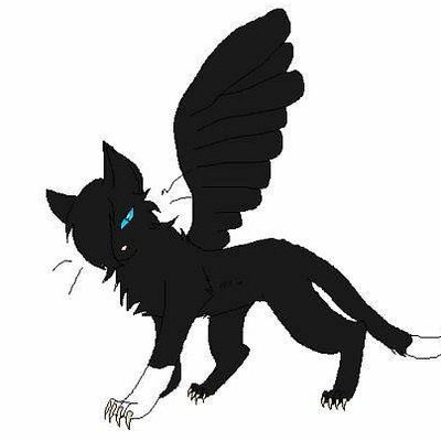 Дима Слепченко