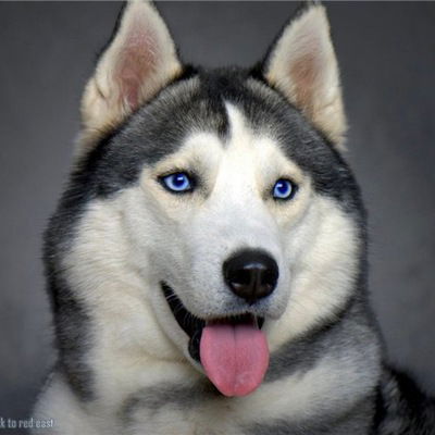 Женя Баринов