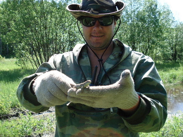 Андрей Сысуев