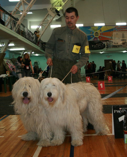 Анатолий Ван