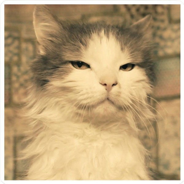 Виталя Штанагей