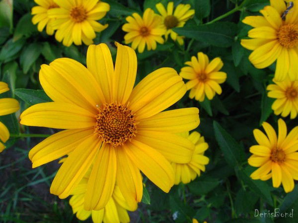 Karligash Tulegenova