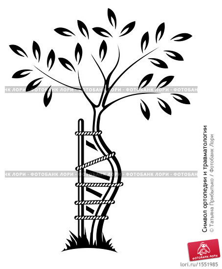 Бахтиёр Ахмедов