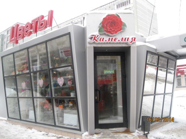 Мирошина Татьяна