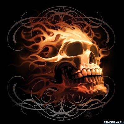 Владимир Макаров