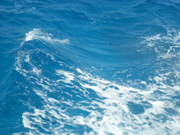 Тамара Турышева